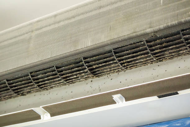 Affordable HVAC Duct Cleaning